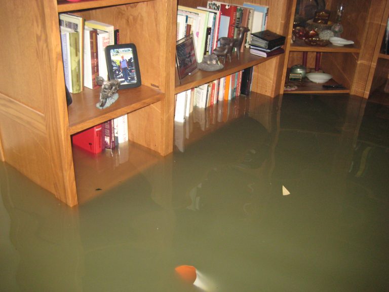 Book-Shelves