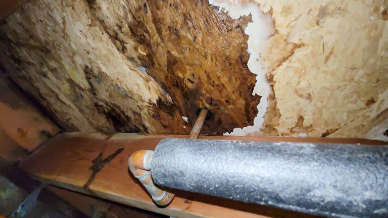 Water damage to wood.